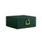 Jewelry Storage Box with Lid Hooks Tray Organizer Necklace Ring Earring Case
